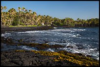 Punaluu beach. Big Island, Hawaii, USA (color)