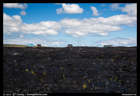 Houses on fresh lava field, Kalapana. Big Island, Hawaii, USA (color)