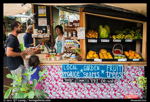 Produce stand, Pahoa. Big Island, Hawaii, USA (color)