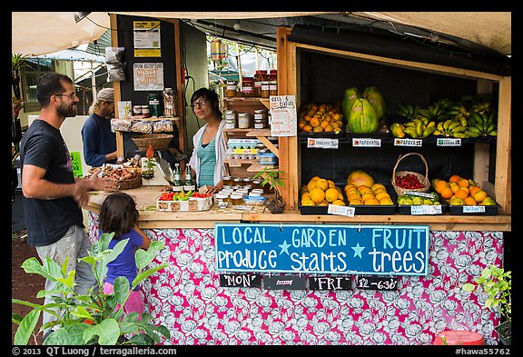 Produce stand, Pahoa. Big Island, Hawaii, USA (color)