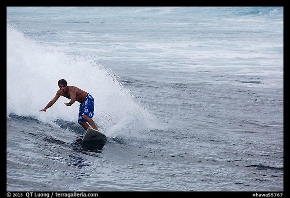 Surfer, Isaac Hale Beach. Big Island, Hawaii, USA (color)