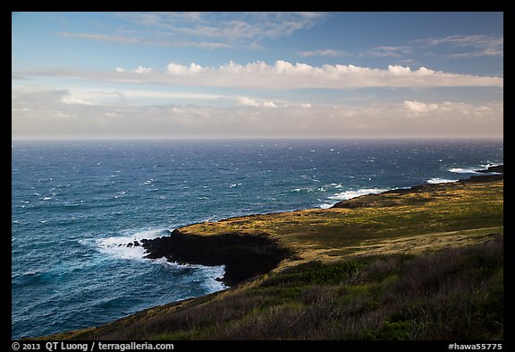 Coastline. Big Island, Hawaii, USA (color)