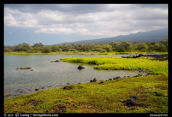 Kaloko fishpond, Kaloko-Honokohau National Historical Park. Hawaii, USA