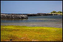 Kaloko fishpond and kuapa, Kaloko-Honokohau National Historical Park. Hawaii, USA ( color)