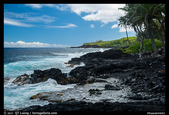Jagged lava coastline, Puna. Big Island, Hawaii, USA (color)