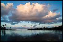 Cloud and pool, Kapoho. Big Island, Hawaii, USA ( color)