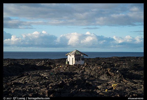 Lone house on the lava field, Kalapana. Big Island, Hawaii, USA (color)