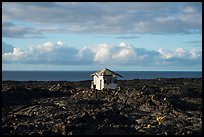 Lone house on the lava field, Kalapana. Big Island, Hawaii, USA ( color)