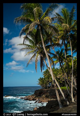 Puna coast. Big Island, Hawaii, USA (color)