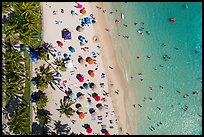 Aerial view of palm trees and beachgoers looking down, Kuhio Beach, Waikiki. Waikiki, Honolulu, Oahu island, Hawaii, USA ( color)