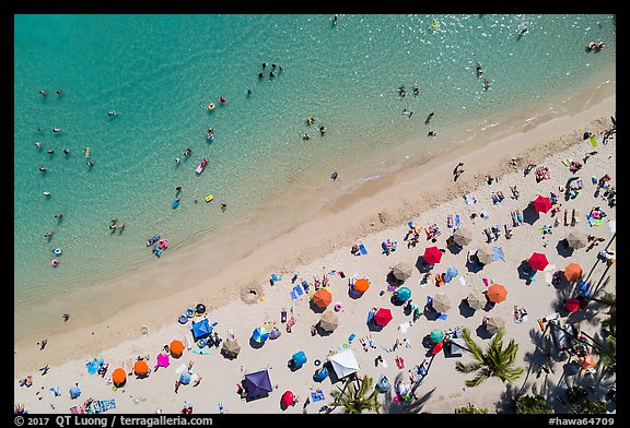Aerial view of palm trees and beach with umbrellas looking down, Waikiki. Waikiki, Honolulu, Oahu island, Hawaii, USA (color)