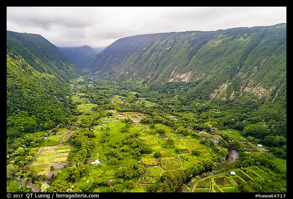 Aerial view of farmlands, Waipio Valley. Big Island, Hawaii, USA (color)