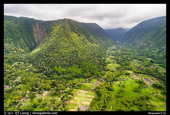 Aerial view of fields and steep slopes, Waipio Valley. Big Island, Hawaii, USA (color)