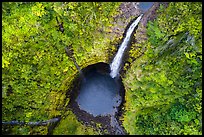 Aerial view of Akaka Falls looking down. Akaka Falls State Park, Big Island, Hawaii, USA ( color)