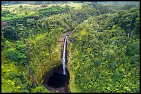Aerial view of Akaka Falls and tropical forest. Akaka Falls State Park, Big Island, Hawaii, USA ( color)