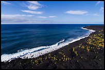 Aerial view of Kaimu Beach. Big Island, Hawaii, USA ( color)