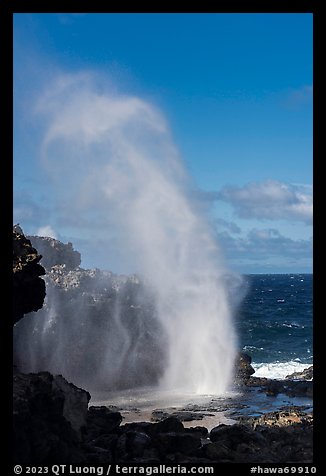Nakalele blowhole. Maui, Hawaii, USA