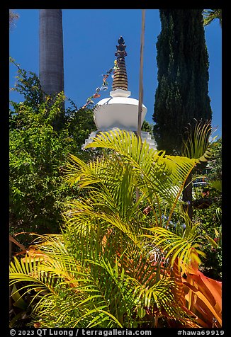 Tropical vegetation and buddisht chorten, Paia. Maui, Hawaii, USA (color)