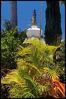 Tropical vegetation and buddisht chorten, Paia. Maui, Hawaii, USA ( color)