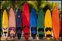 Brightly colored surfboards, Paia. Maui, Hawaii, USA ( color)