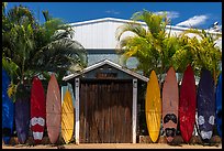 Door framed with surfboards, Paia. Maui, Hawaii, USA ( color)