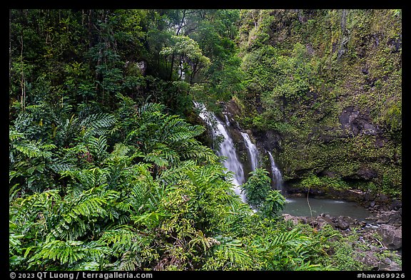 Waterfall along Hana Highway. Maui, Hawaii, USA (color)