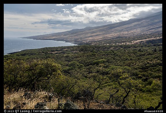 Coast and dry vegetation, Piilani Highway. Maui, Hawaii, USA (color)