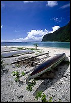 Traditional polynesian canoes near the Asaga Strait, Ofu Island. American Samoa (color)