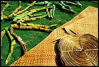 Pandanus leaves and a finished toga (mat) made out of it. American Samoa