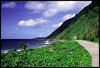 The road between Fitiuta and Luma. American Samoa ( color)