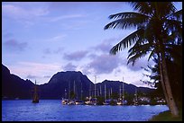 Yachts anchored in Pago Pago harbor. Pago Pago, Tutuila, American Samoa