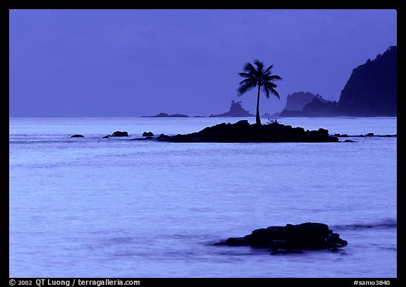 Lone coconut tree on a islet in Leone Bay, dusk. Tutuila, American Samoa (color)