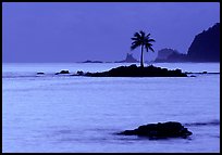 Lone coconut tree on a islet in Leone Bay, dusk. Tutuila, American Samoa