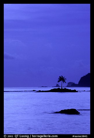 Coconut tree on islet in Leone Bay, dusk. Tutuila, American Samoa (color)