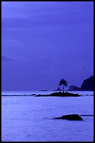 Coconut tree on islet in Leone Bay, dusk. Tutuila, American Samoa