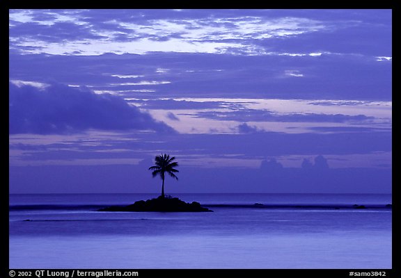 Lone palm tree on a islet in Leone Bay, dusk. Tutuila, American Samoa