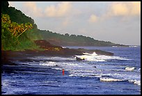 Fisherman on rocky coast near Vailoa. Tutuila, American Samoa (color)