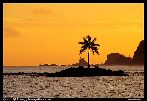Lone coconut tree on a islet in Leone Bay, sunset. Tutuila, American Samoa (color)