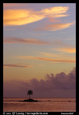 Lone coconut tree on a islet in Leone Bay, sunset. Tutuila, American Samoa (color)