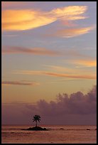 Lone coconut tree on islet in Leone Bay, sunset. Tutuila, American Samoa ( color)