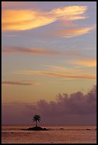 Lone coconut tree on a islet in Leone Bay, sunset. Tutuila, American Samoa (color)