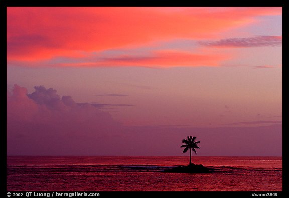 Palm tree on a islet in Leone Bay, sunset. Tutuila, American Samoa (color)