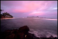 Sunset over Aunuu island with crab on basalt rock. Aunuu Island, American Samoa (color)