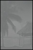 Beach fale with dog near Amouli. Tutuila, American Samoa ( color)