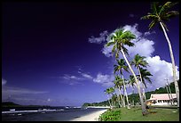 Palm-lined beach in village of Auasi. Tutuila, American Samoa (color)