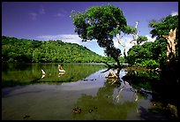 Pala quicksand lake. Aunuu Island, American Samoa