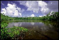 Pala quicksand lake. Aunuu Island, American Samoa