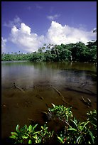 Pala quicksand lake. Aunuu Island, American Samoa