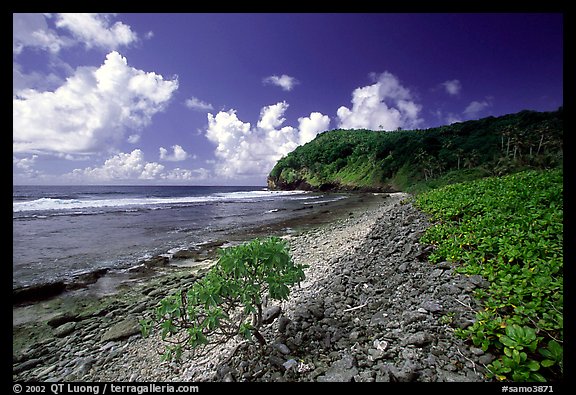 North shore. Aunuu Island, American Samoa (color)