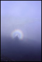Specter of Broken in the fog of Mount Alava. National Park of American Samoa ( color)